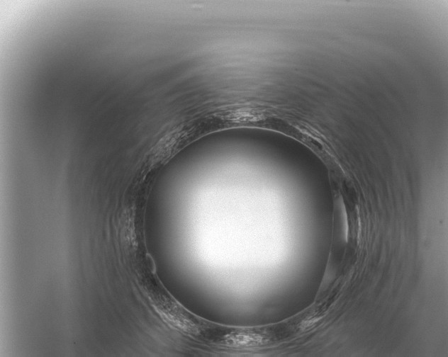 X0000059060512200510212030