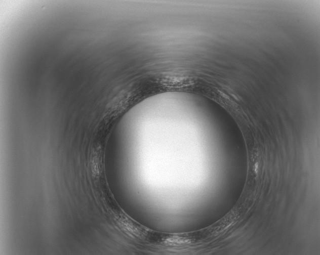 X0000059060515200510212030