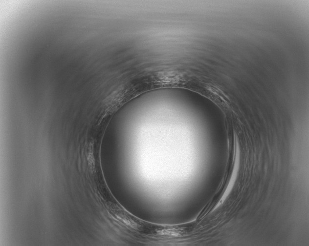 X0000059060516200510212030