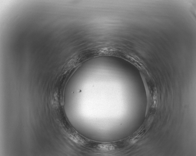 X0000059060520200510212030