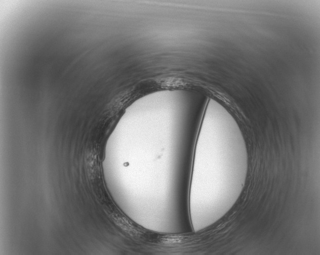 X0000059060521200510212030