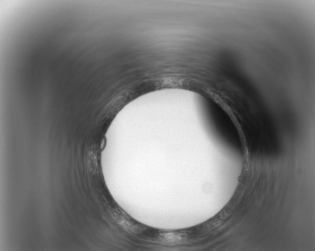 X0000059060522200510212030