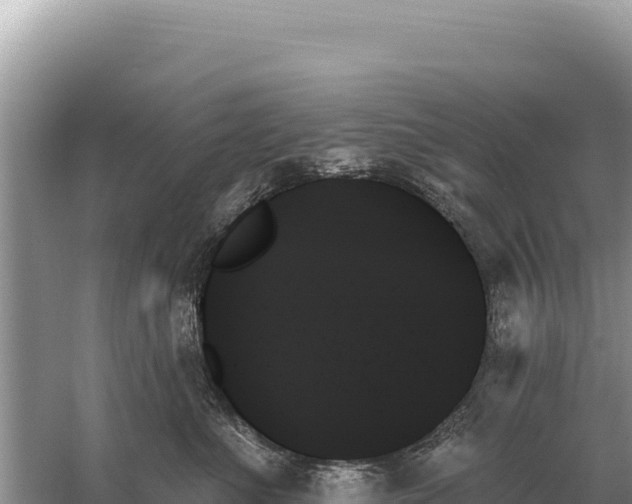 X0000059060523200510212030