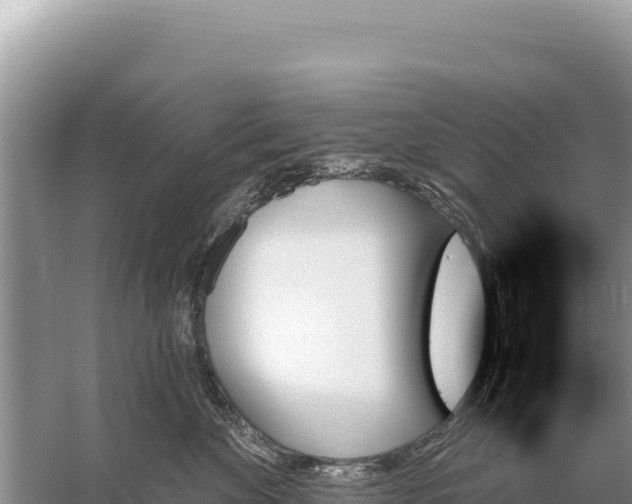 X0000059060524200510212030