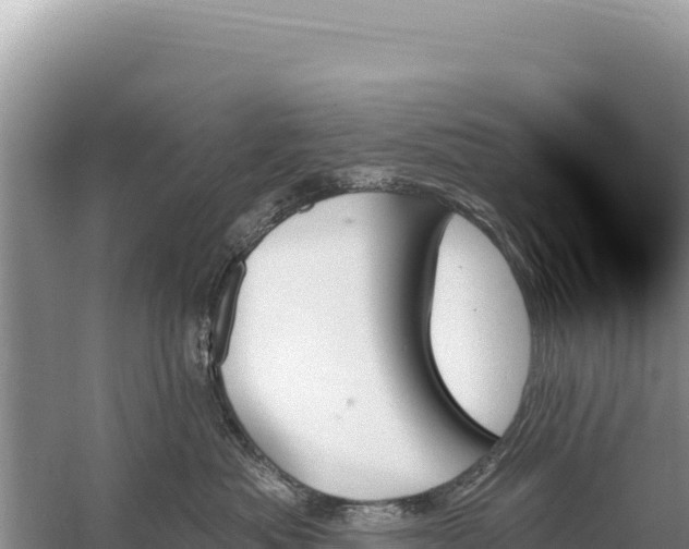 X0000059060525200510212030