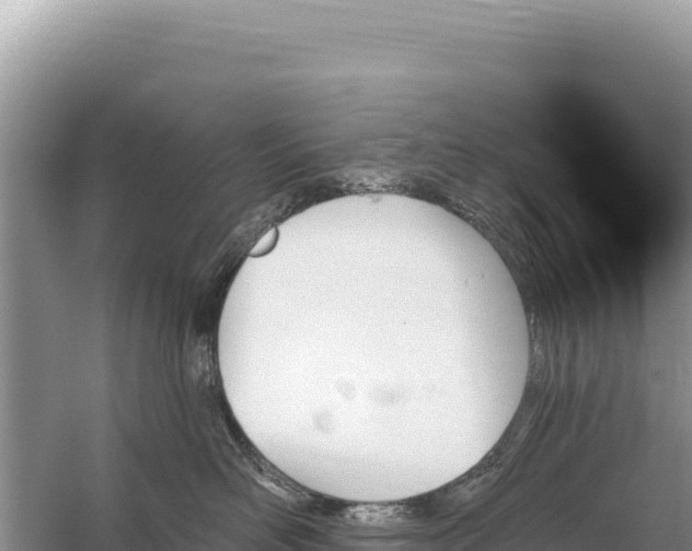 X0000059060526200510212030