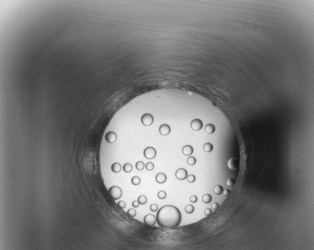 X0000059060527200510212030