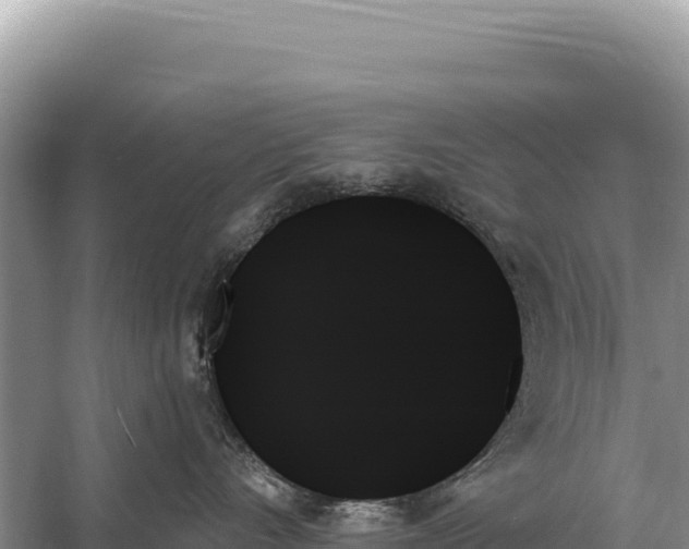 X0000059060528200510212030