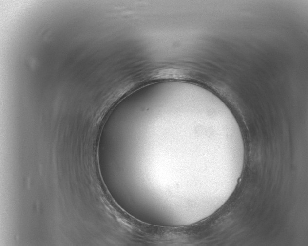 X0000059060529200510212029