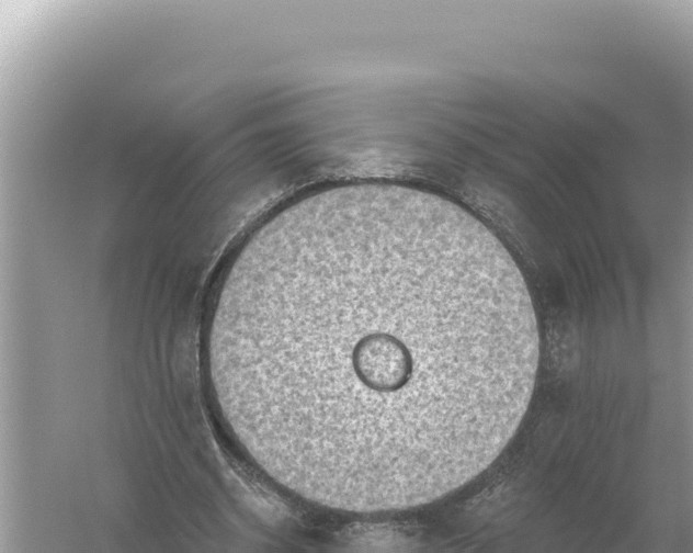 X0000059060534200510212029