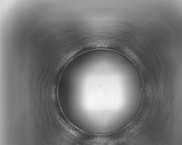 X0000059060537200510212029