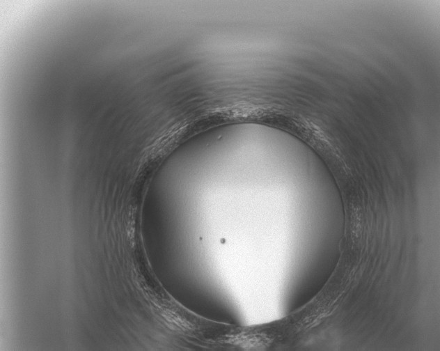 X0000059060545200510212029