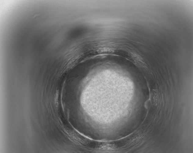 X0000059060550200510212029