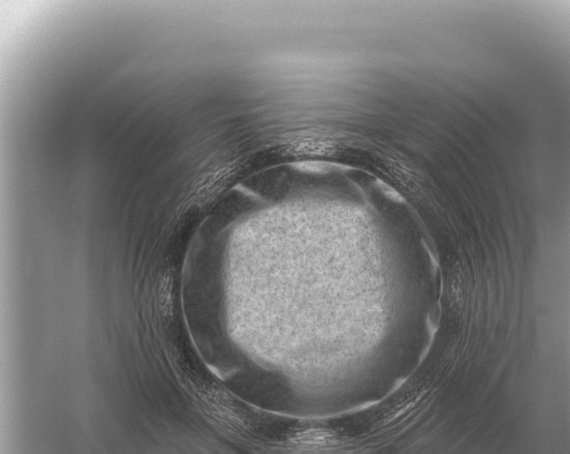 X0000059060551200510212029