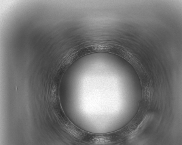 X0000059060557200510212030