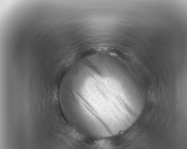 X0000059060561200510212030