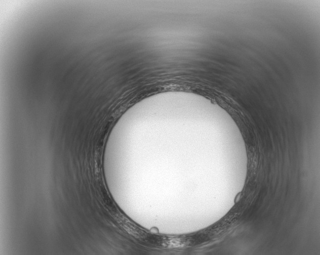 X0000059060565200510212030