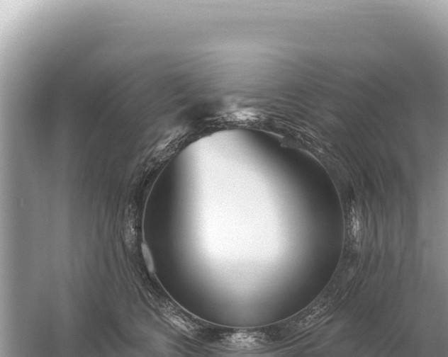 X0000059060566200510212030