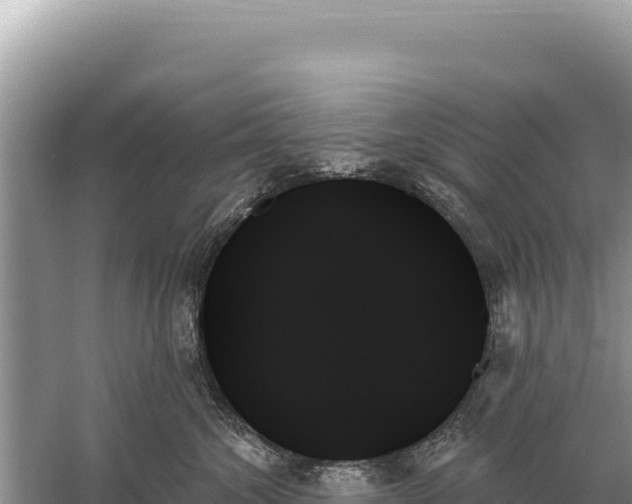 X0000059060572200510212030