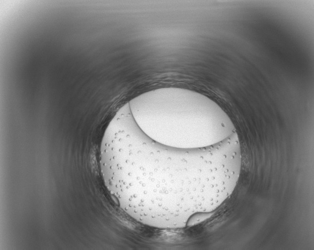 X0000059060573200510212030