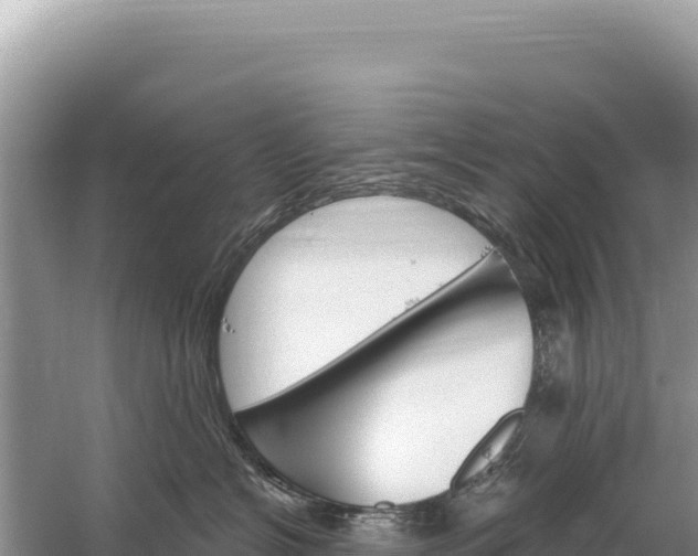 X0000059060574200510212030