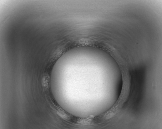 X0000059060576200510212030