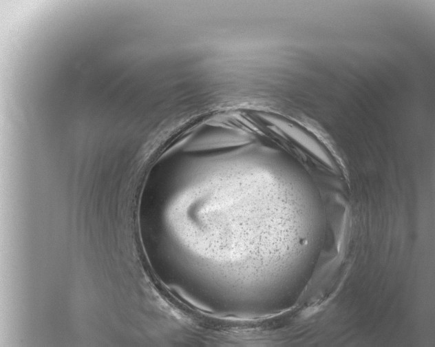 X0000059060577200510212029