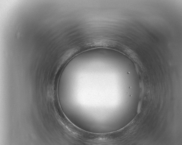 X0000059060578200510212029