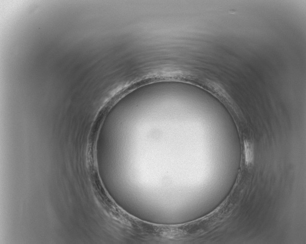 X0000059060579200510212029