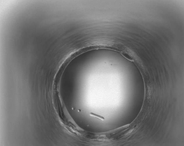 X0000059060580200510212029