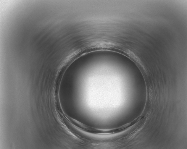 X0000059060581200510212029