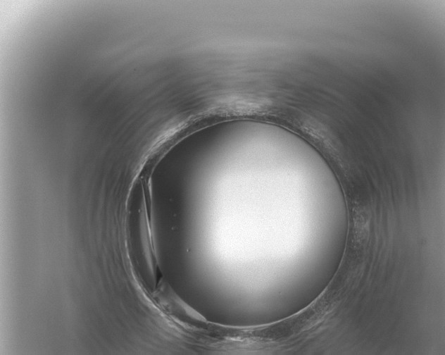 X0000059060582200510212029