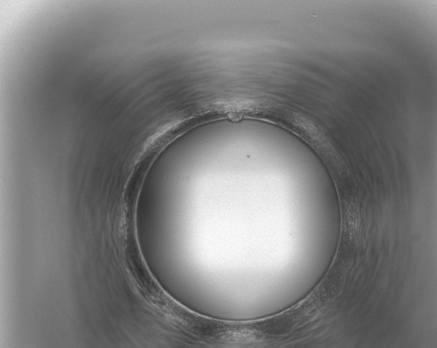 X0000059060583200510212029