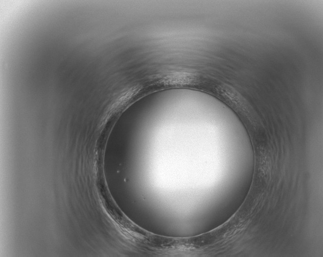 X0000059060586200510212029