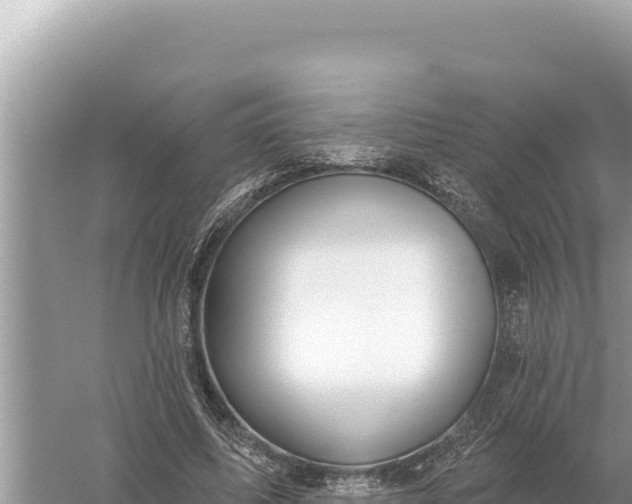 X0000059060587200510212029