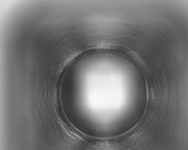 X0000059060588200510212029