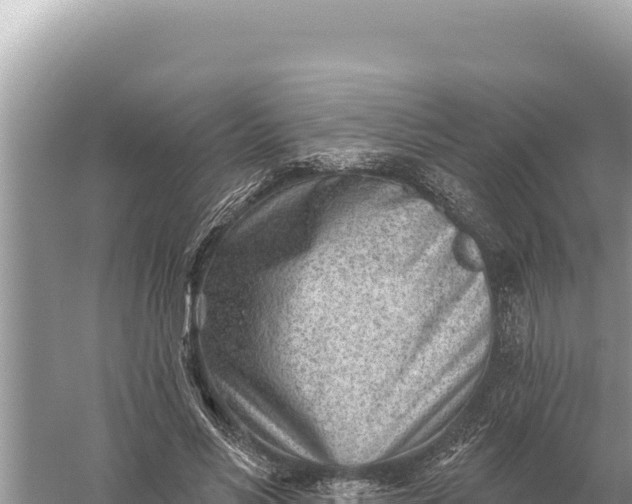 X0000059060590200510212029