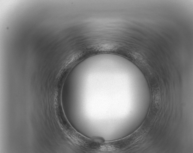 X0000059060591200510212029