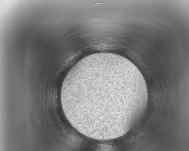 X0000059060592200510212029