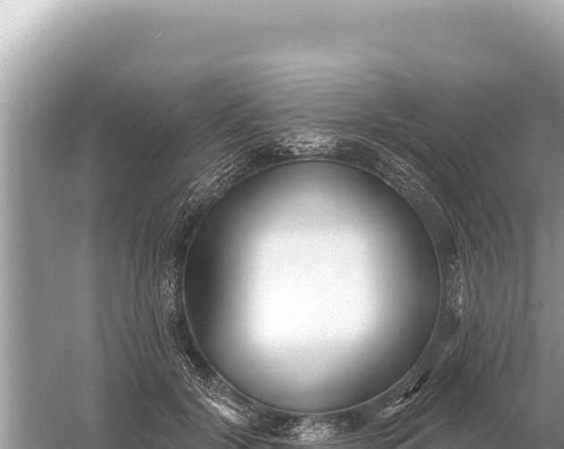 X0000059060604200510212029