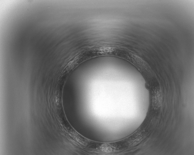 X0000059060608200510212028