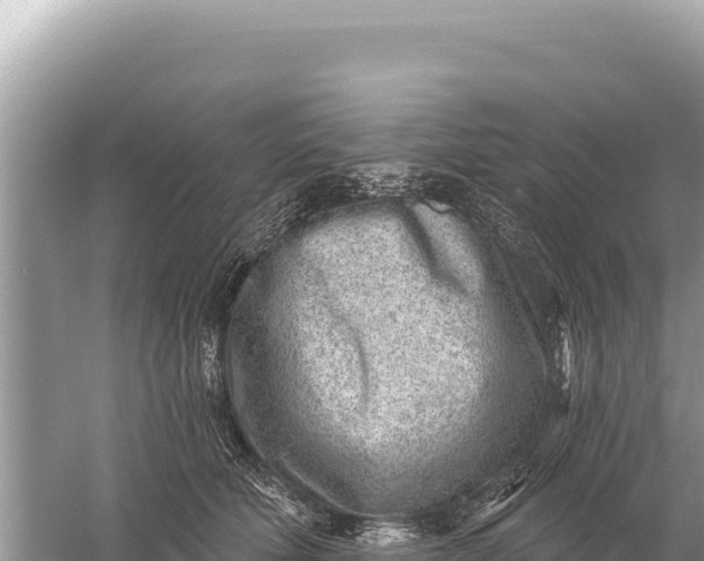 X0000059060610200510212028