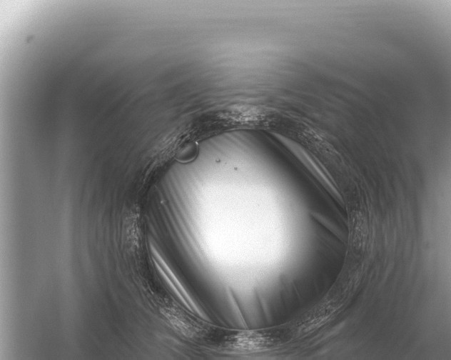 X0000059060612200510212028