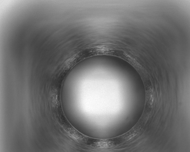 X0000059060615200510212028