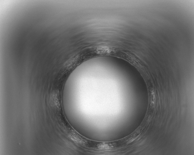 X0000059060616200510212028