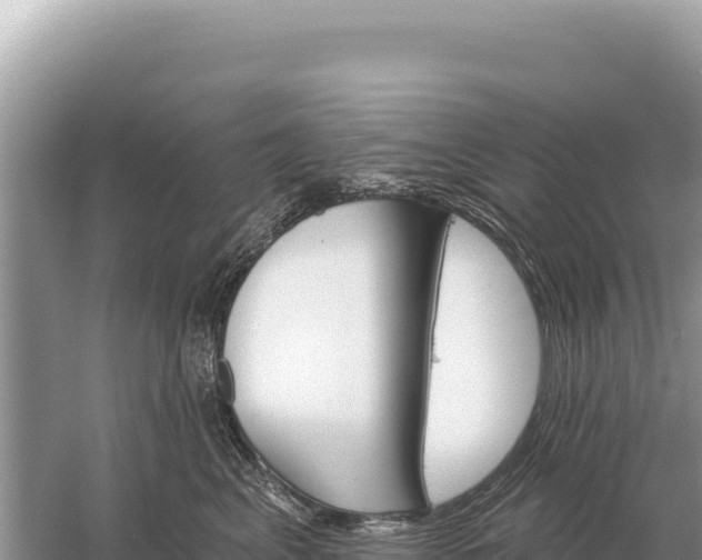 X0000059060617200510212028