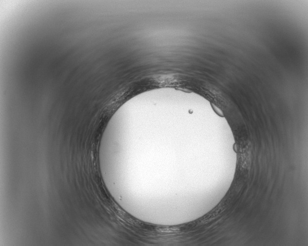 X0000059060618200510212028