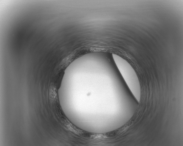 X0000059060621200510212028