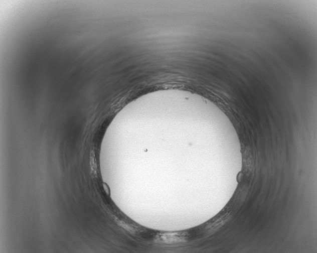 X0000059060622200510212028