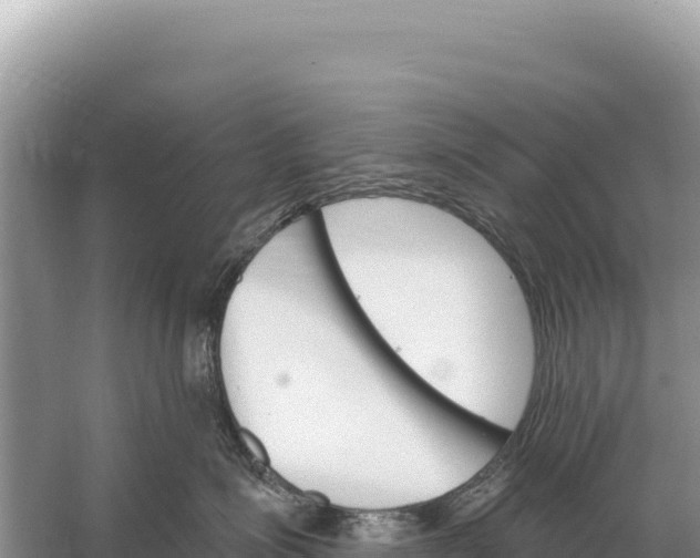 X0000059060623200510212028